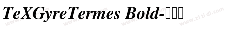 TeXGyreTermes Bold字体转换
